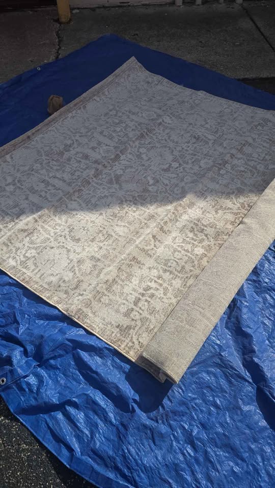 New Loloi Clarissa Fog / Bone 6'3 x 9'6" Area Rug