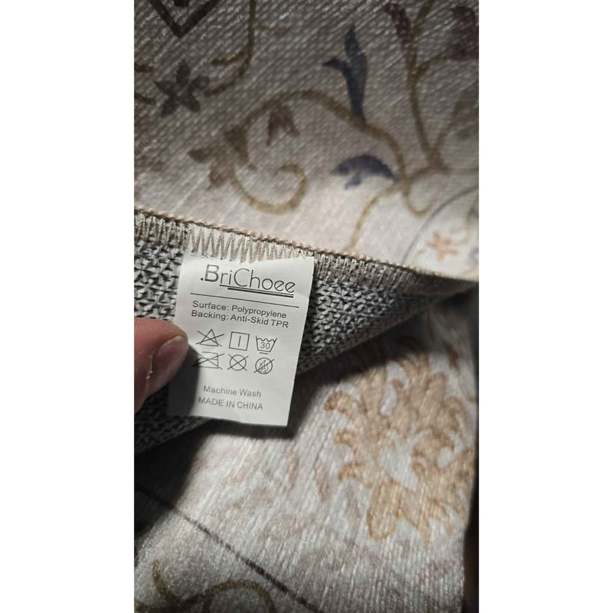 Brichoee 3 x 5 Boho Oriental Rug 3 x 5