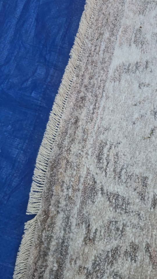 New Loloi Clarissa Fog / Bone 6'3 x 9'6" Area Rug